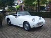 Austin Healey Sprite MkI - Frosch